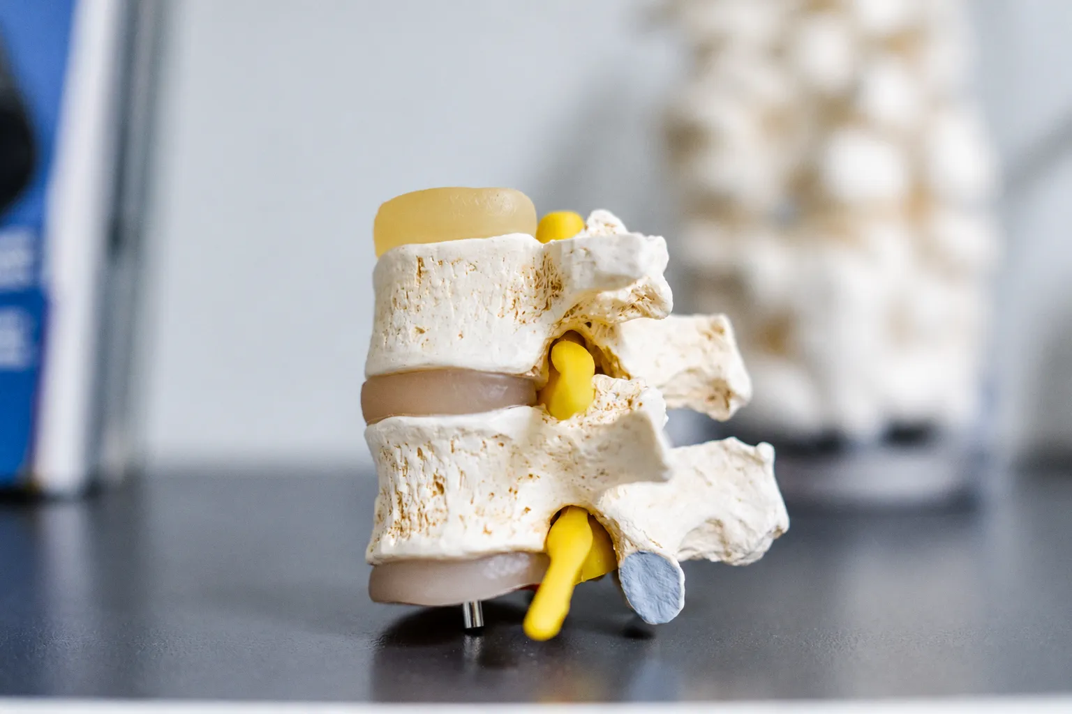Neue DGOU-Leitlinie gibt Orientierung bei Osteoporose-Frakturen